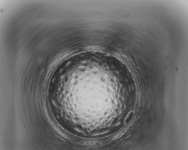 X0000086910049200704231228