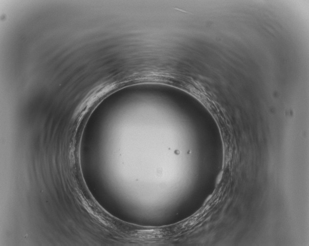 X0000086910050200704231228