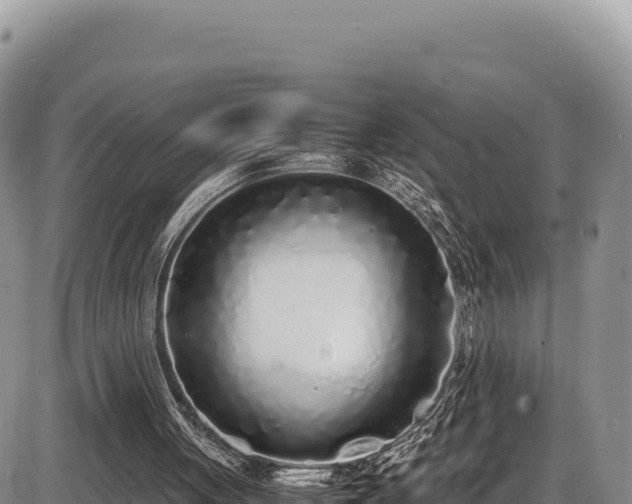 X0000086910051200704231228