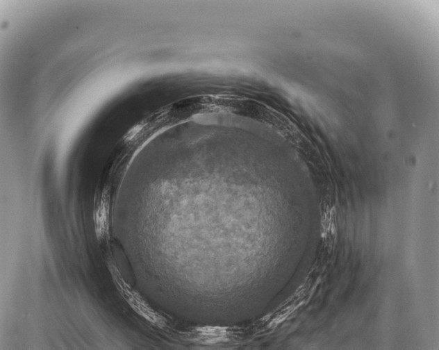 X0000086910052200704231228