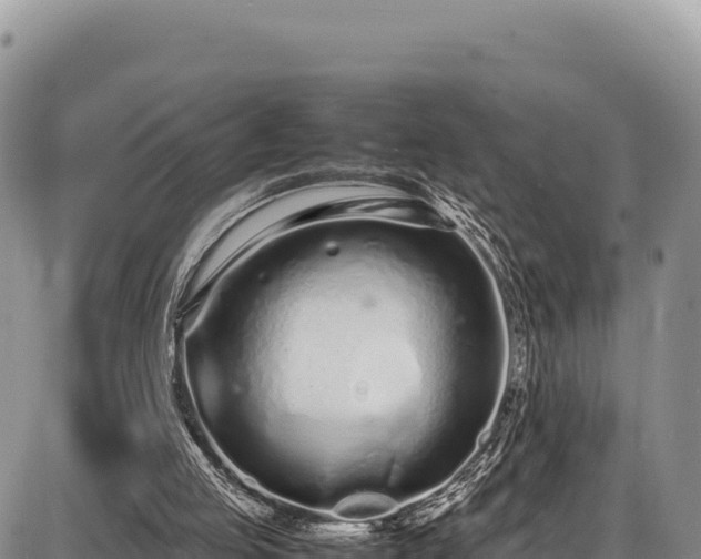 X0000086910053200704231228