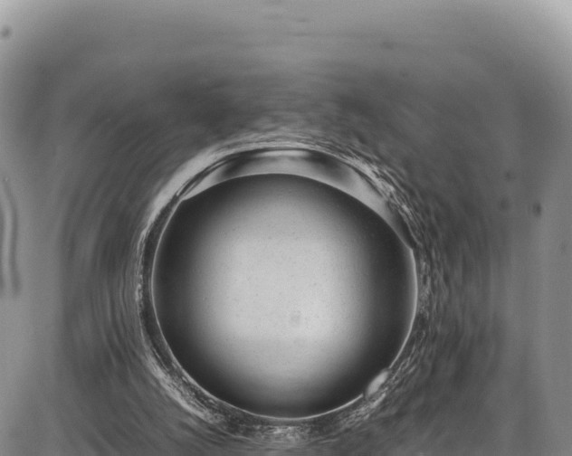 X0000086910056200704231229