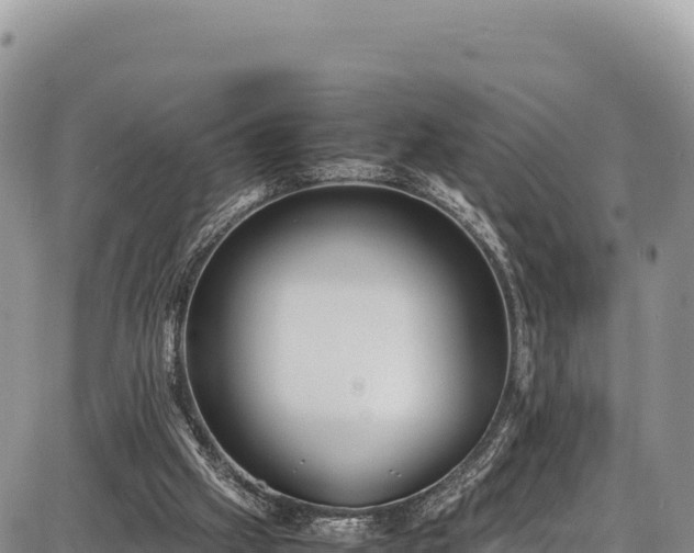 X0000086910057200704231229