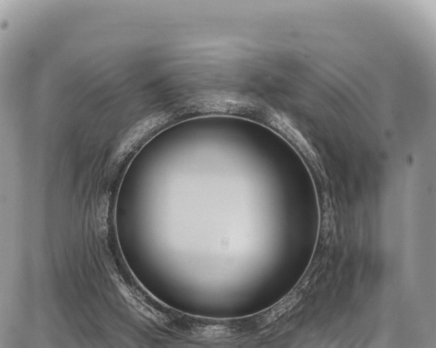 X0000086910058200704231229