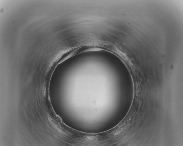 X0000086910060200704231229