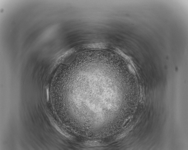 X0000086910061200704231229