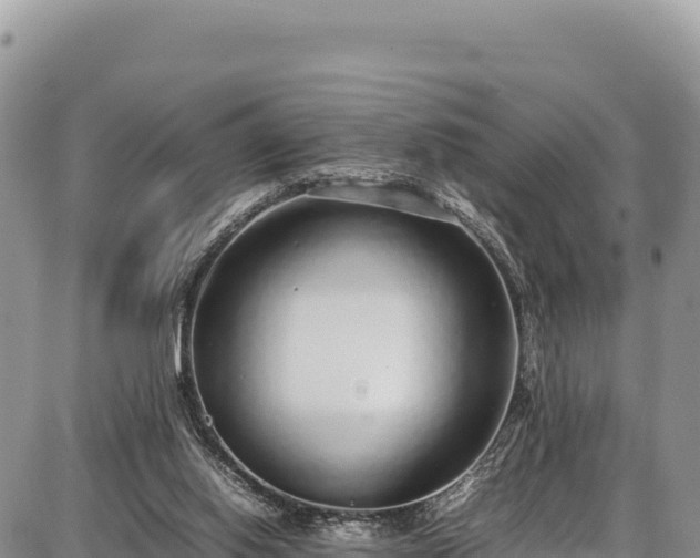 X0000086910062200704231229