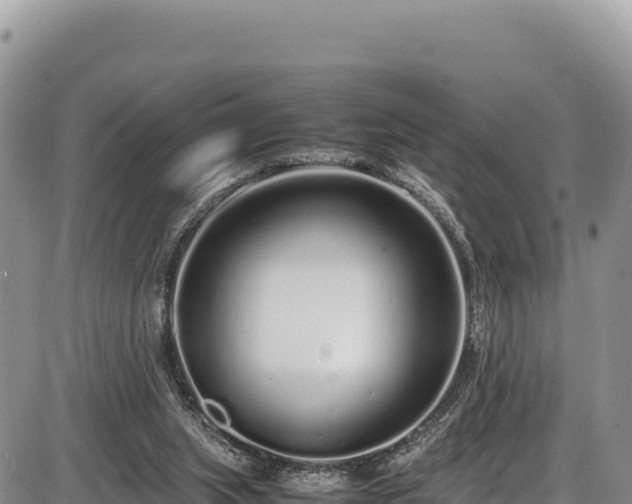 X0000086910063200704231229