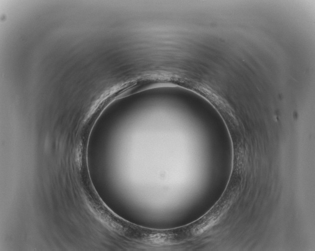 X0000086910064200704231229