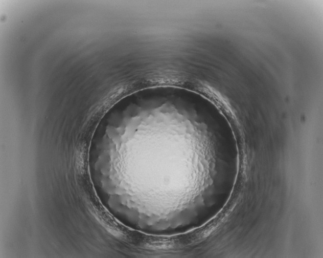 X0000086910065200704231229