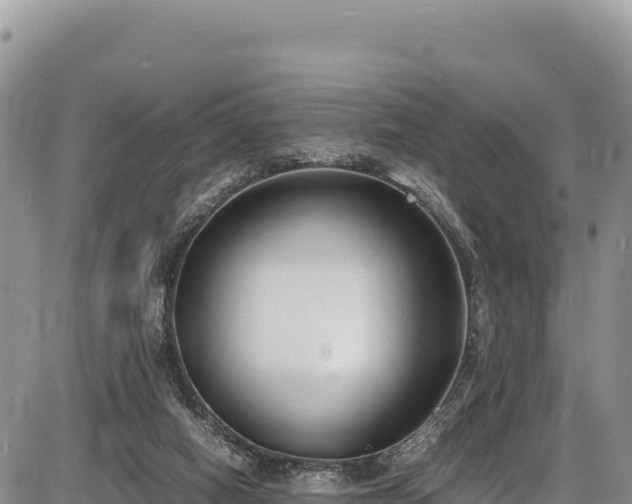 X0000086910066200704231229