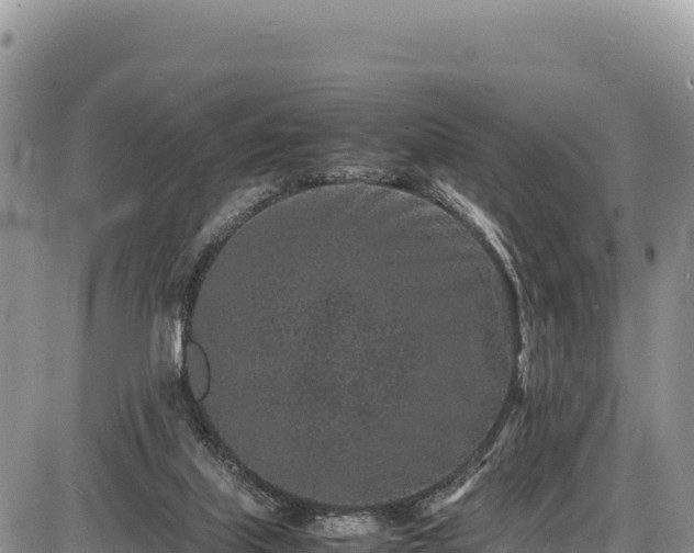 X0000086910067200704231229