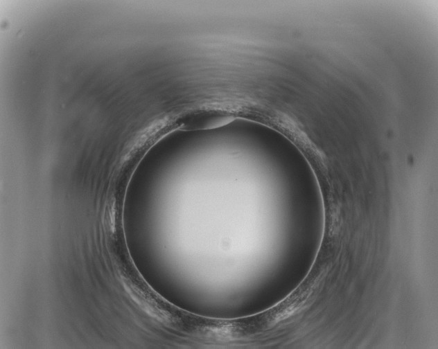 X0000086910068200704231229