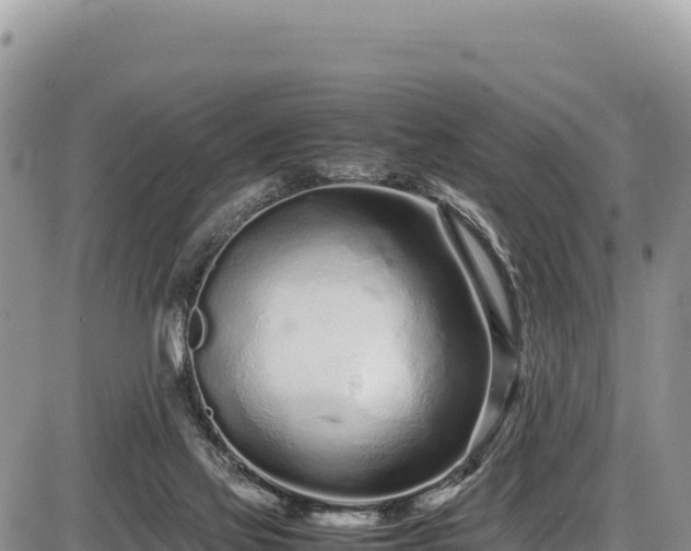 X0000086910069200704231229