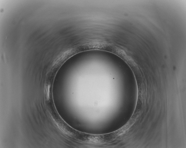 X0000086910070200704231229