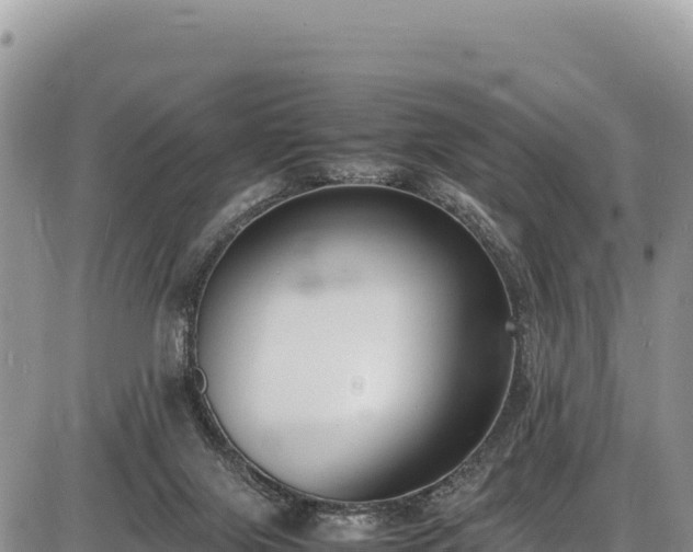 X0000086910071200704231229