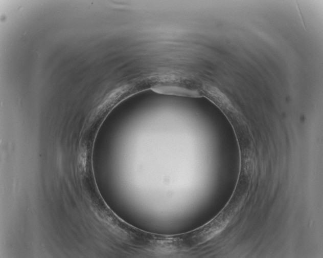 X0000086910072200704231229