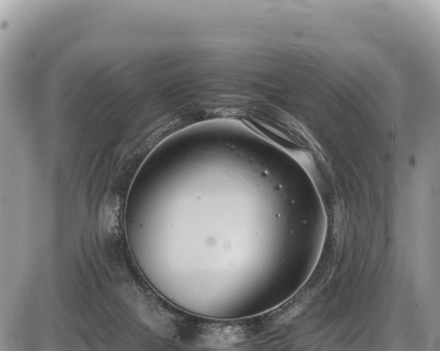 X0000086910073200704231229