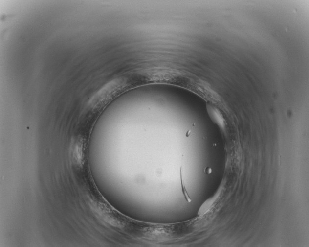 X0000086910074200704231229