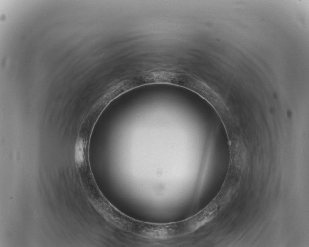 X0000086910075200704231229