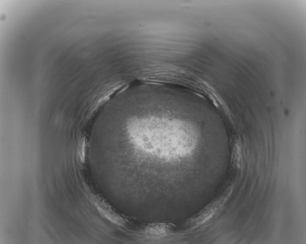 X0000086910076200704231229