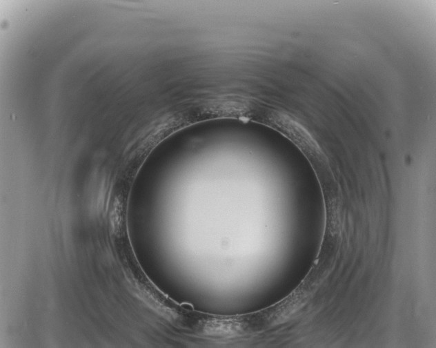 X0000086910077200704231229