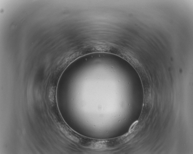 X0000086910078200704231229