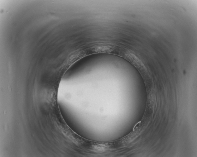 X0000086910079200704231229