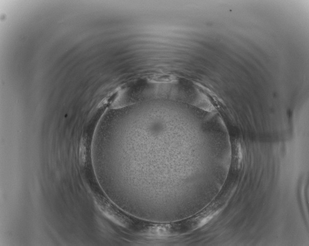 X0000086910080200704231229