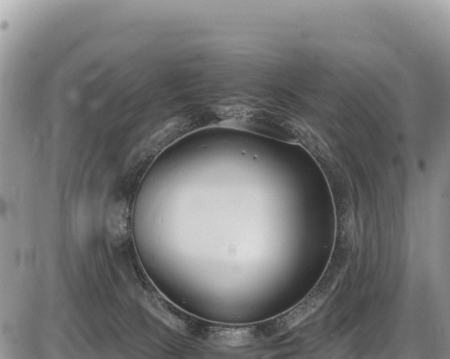 X0000086910081200704231229