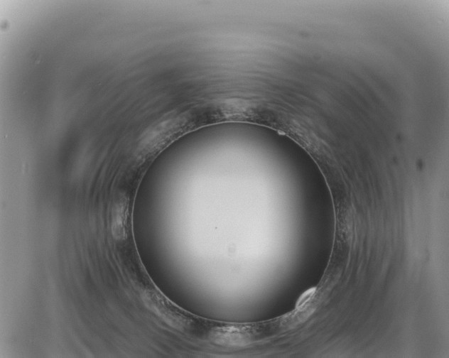 X0000086910082200704231229