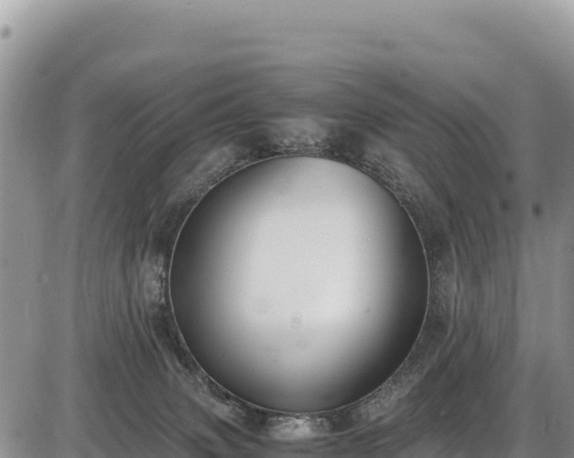 X0000086910083200704231229