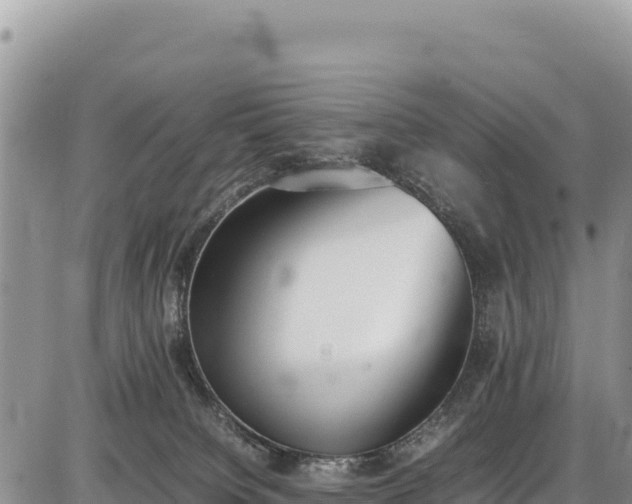 X0000086910084200704231229