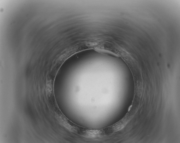 X0000086910085200704231229