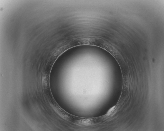 X0000086910086200704231229