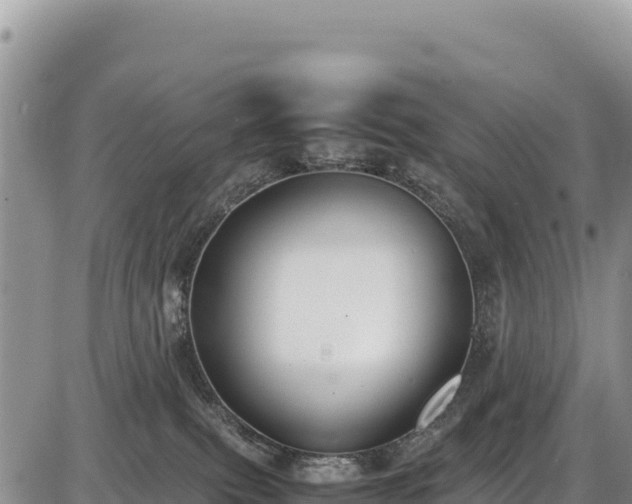 X0000086910087200704231229