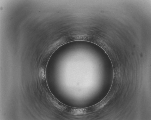 X0000086910089200704231229