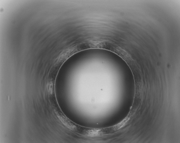 X0000086910090200704231229