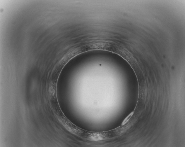 X0000086910091200704231229