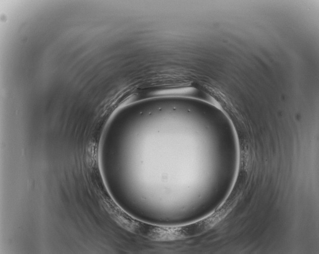 X0000086910093200704231229