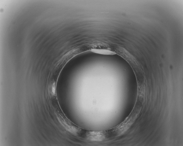 X0000086910095200704231229