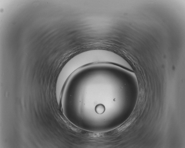 X0000086910096200704231229