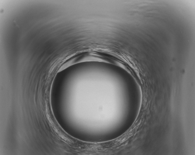 X0000086910097200704231228