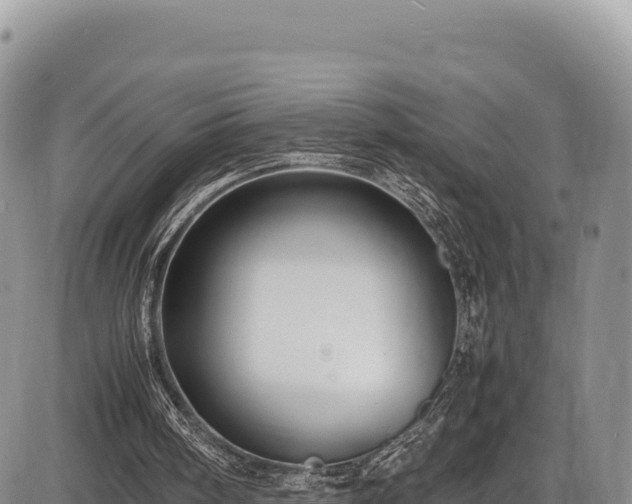 X0000086910098200704231228