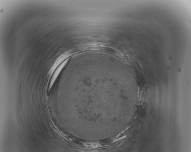 X0000086910099200704231228