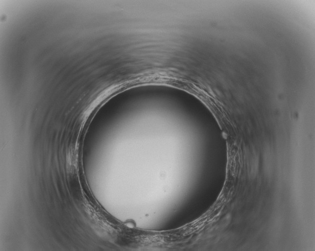 X0000086910100200704231228