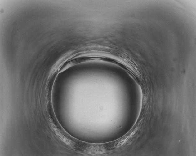 X0000086910101200704231228