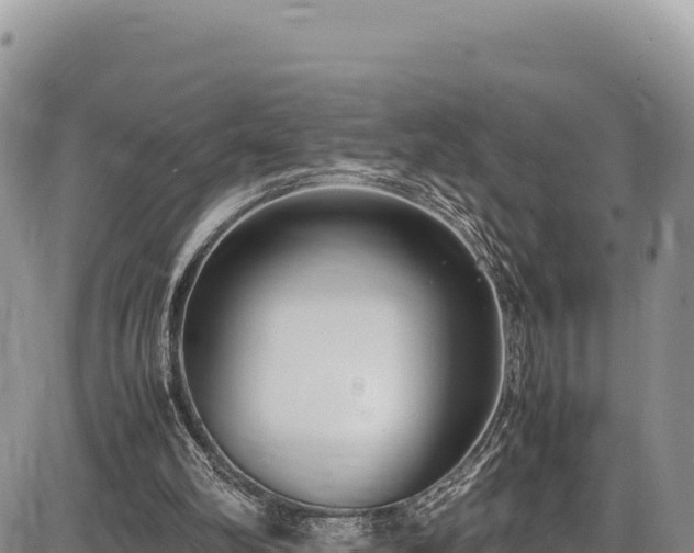 X0000086910102200704231228