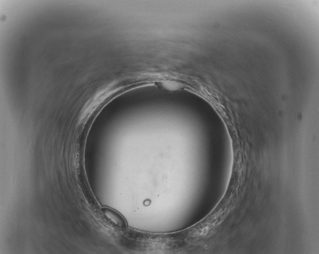 X0000086910103200704231228