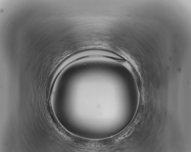 X0000086910105200704231228